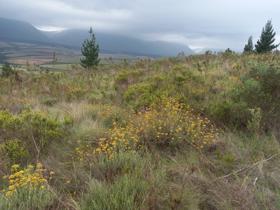  Bedroom Property for Sale in Riversdale Rural Western Cape